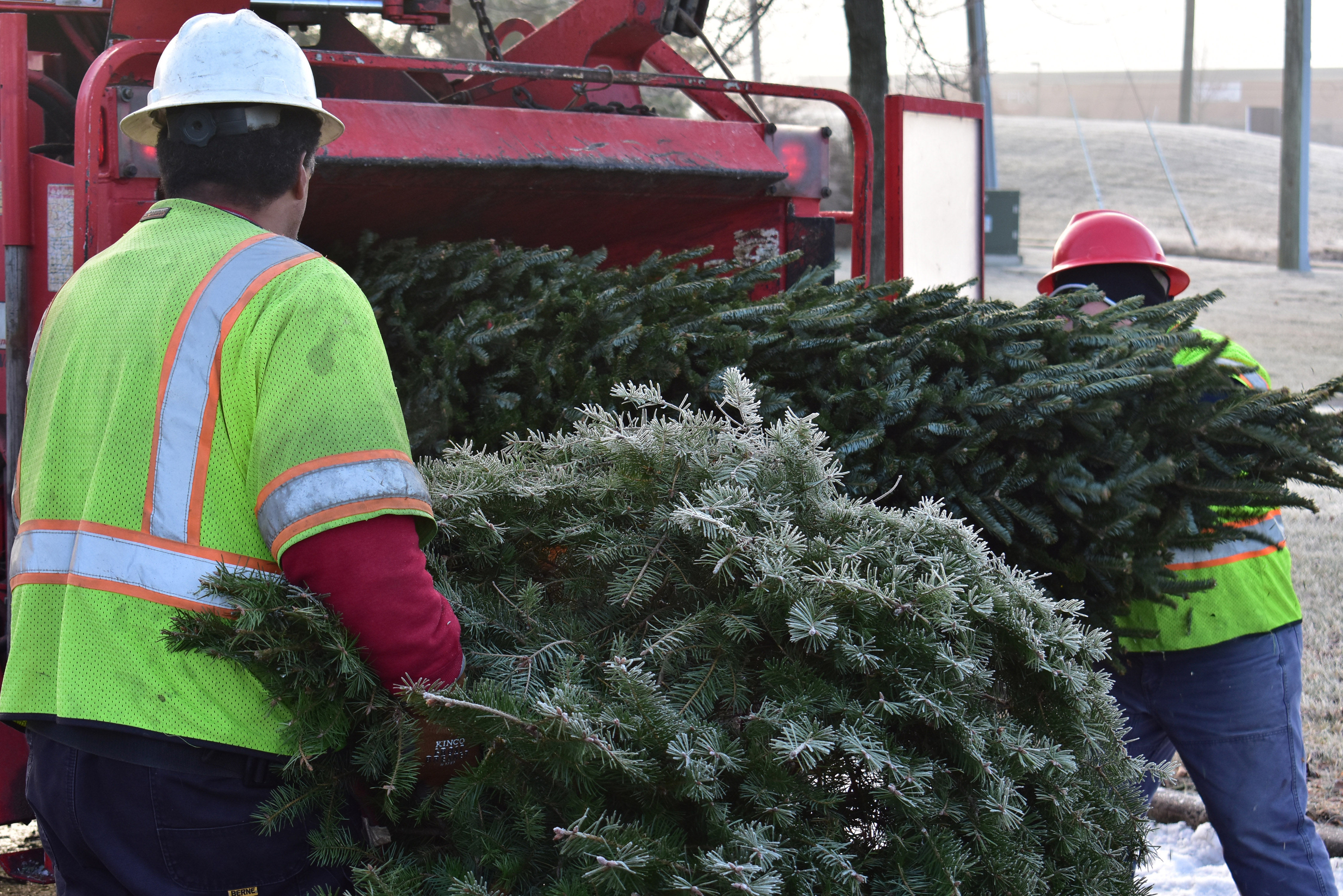 NOVEC Holiday Trees and Greens Recycling