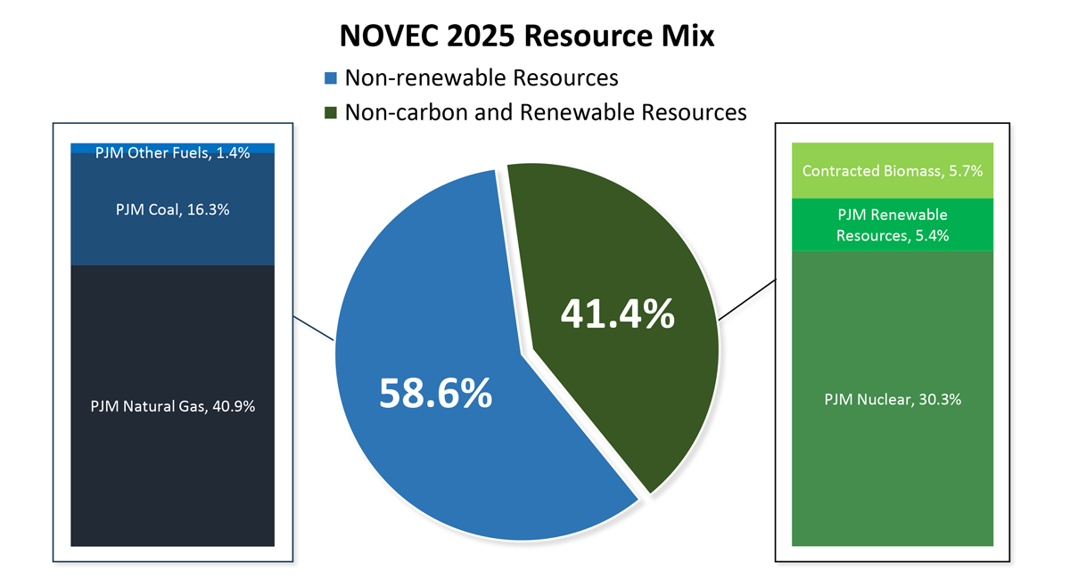 Energy Resource Mix 2025