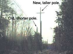 The new, taller poles need more right-of-way clearance than the shorter poles